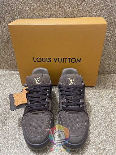 Sneaker Louis Vuitton LV Trainer 6