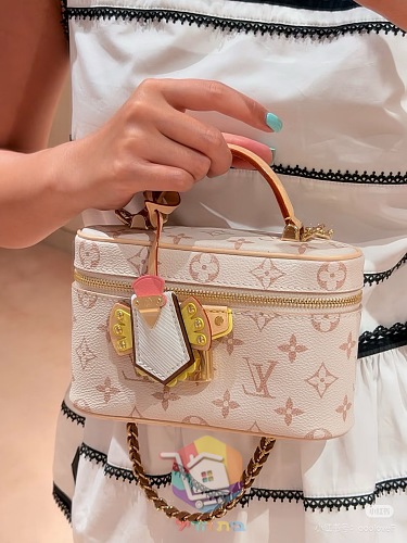 Mini-Satteltasche Louis Vuitton im klassischen Monogram 11