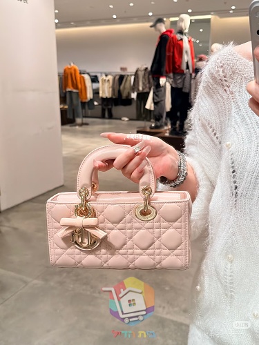 Gesteppte Dior Tasche mit Henkel und zwei Riemen 17