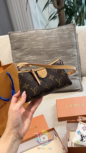 Louis Vuitton Taschen mit Monogramm, zwei Modelle 6