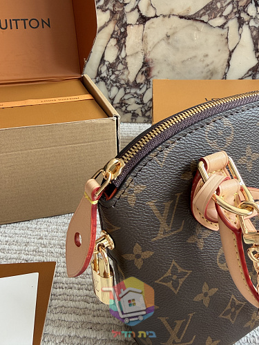 Louis Vuitton Tasche in Kuppelform mit Henkeln und Schulterriemen 2
