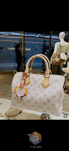 תיק Louis Vuitton Speedy בקנבס בהיר, 25 ס"מ 2