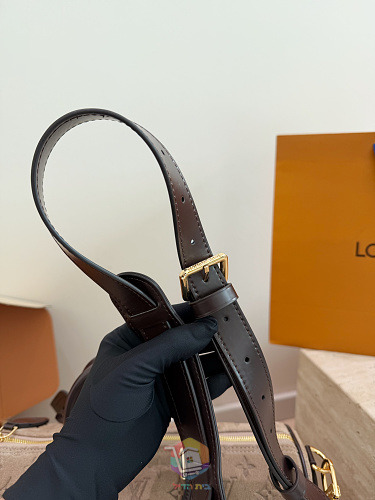 תיק Louis Vuitton Speedy Bandoulière מזמש מוטבע, בז' או חום, תמונה 10