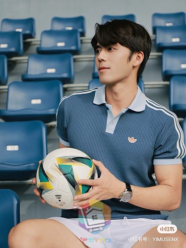 Poloshirt adidas in Waffelstrick 12