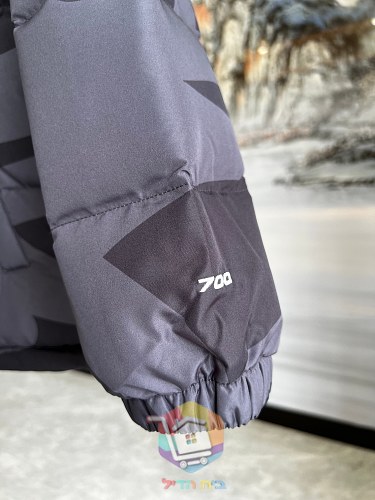 Piumino KAWS x The North Face Retro 1996 Nuptse mimetico, quattro colorazioni 28