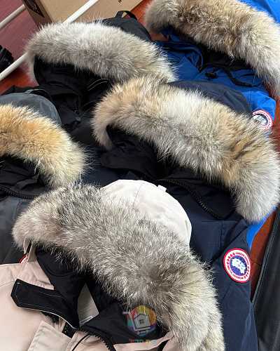 מעיל Canada Goose Chilliwack Bomber עם קפוצ'ון בשוליים פרוותיים, בחמישה גוונים, תמונה 8