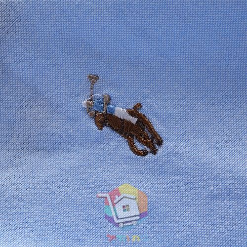 Oxfordhemd Polo Ralph Lauren mit langen Ärmeln 2