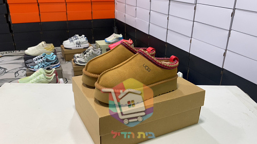 כפכפי UGG Tazz II בחמישה גוונים 45